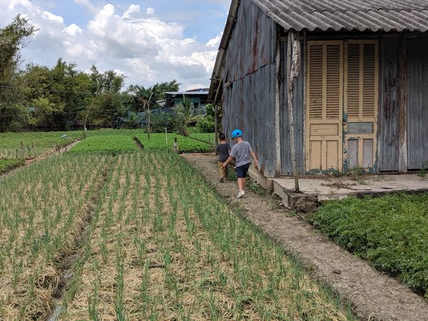 Trẻ em thông thái hơn ta tưởng